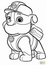 Zuma Paw Patrol Coloring Page At GetColoringscom  Free Printable sketch template