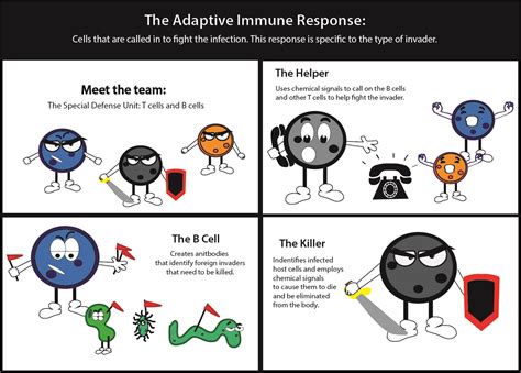 Engineering the Immune System // Bond Life Sciences Center