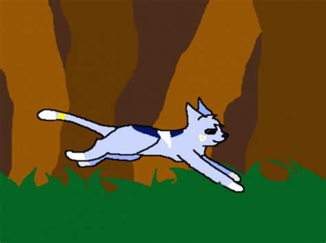 Fat Cat Running GIF | GIFDB.com