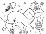 Dolphin coloring Page  Free Printable Coloring Pages sketch template