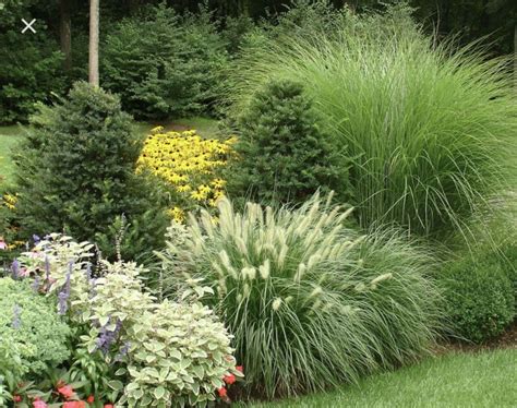 Pin by Julie Hardaway on Flower Bed Ideas | Grasses landscaping ...