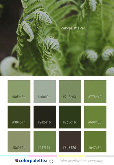 fern green - Google Search | Green colour palette, Plant painting, Color palette