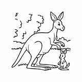 Premium Vector  Kangaroo coloring Pages animal Outline For sketch template