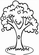 Free & Easy To Print Tree Coloring Pages  Tulamama sketch template