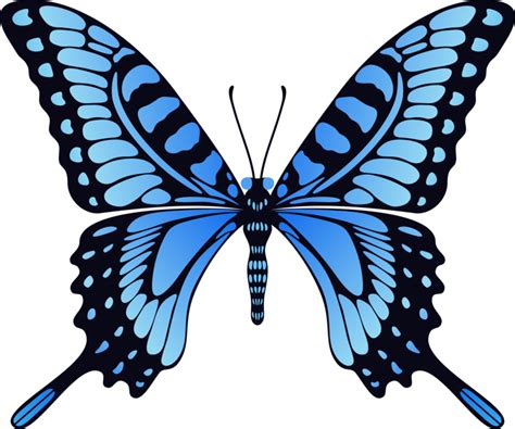 Blue butterfly PNG image