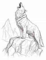 32 Majestic Wolf Coloring Pages For Kids And Adults sketch template