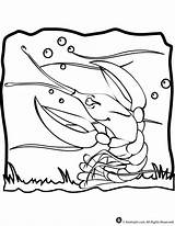 Lobster Coloring Page  Woo Jr Kids Activities Childrens Publishing sketch template