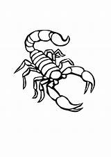 Free Printable Scorpion Coloring Pages For Kids sketch template