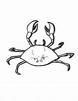 Free Printable Crab Coloring Pages For Kids  Animal Place sketch template