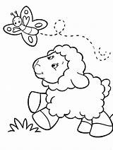 Coloring Drawing Lamb Sheep Kids Clipart Drawings Outline Para Clip  sketch template