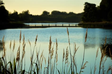Free Images : natural landscape, nature, sky, reflection, lake, blue, vegetation, natural ...