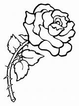 Free Printable Rose Coloring Pages sketch template