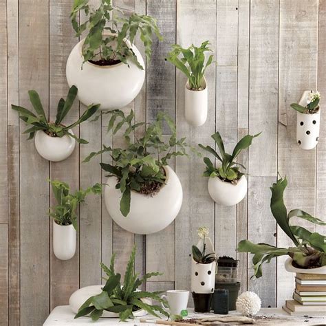 Shane Powers Ceramic Wall Planters - Contemporary - Indoor Pots And Planters - by West Elm