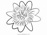Beautiful Passion Flower Coloring Page For Kids  Free Flowers sketch template