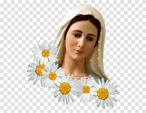 Glitter Graphics The Community For Enthusiasts Mother Mary With Flower, Daisy, Plant, Art ...