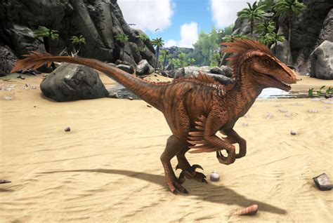 The 6 Fastest Ways To Level Up in ARK: Survival Evolved :: Games ...