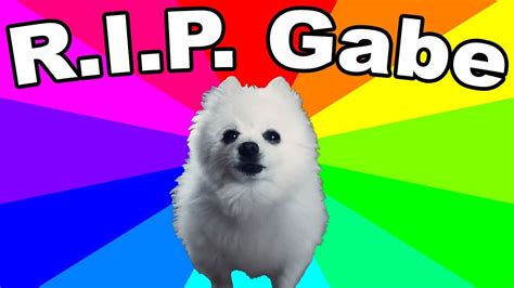 Gabe The Dog Died! REMEMBERING THE BORK KING (Thoughts and Tribute) - YouTube