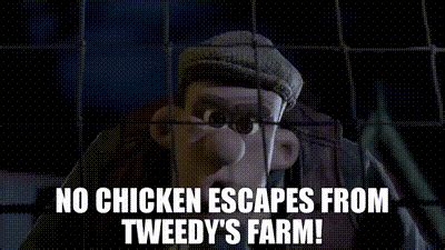 YARN | No chicken escapes from Tweedy's farm! | Chicken Run (2000) | Video gifs by quotes ...