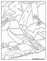 Free CROW Coloring Pages For Download Printable PDF sketch template