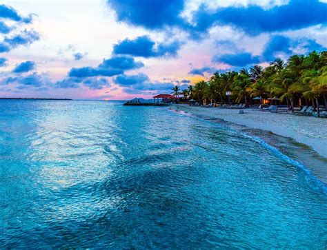 One of the Best Bonaire Resorts and Beaches: A Caribbean Island ...