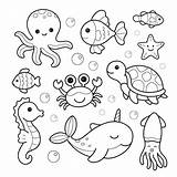 Dibujo Para Colorear De Animales Marinos Pulpo Pez Tortuga Narval  sketch template