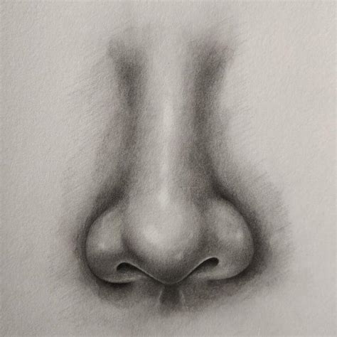 25 Easy Nose Drawing Ideas - How To Draw A Nose - Blitsy