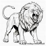 Realistic Lion Coloring Pages  Free & Printable sketch template