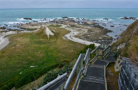 Irresti: Kaikoura Seal Colony Walk