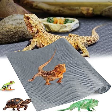 Bearded Dragon Enclosure Substrate 2024 - Vet Ranch - We Love Pets