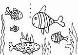 Aquarium Coloring Sheets Printable Pages sketch template