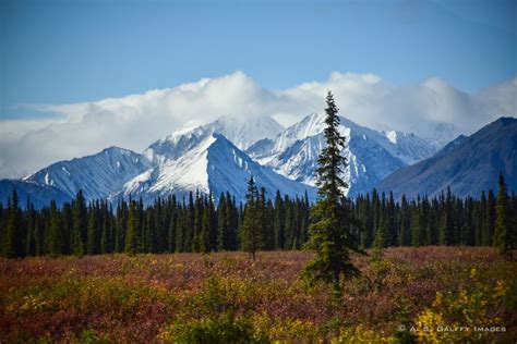 Anchorage to Denali – Driving the Spectacular Parks Highway in Alaska ...