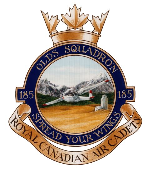 Air Cadet Flying Program | Town of Olds