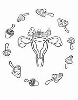 Uterus Coloring Pages sketch template