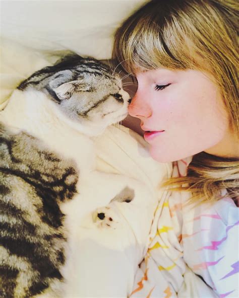 Taylor Swift Asked to Bring Her Cat to 'TIME' Cover: A Guide to Her Pets