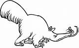 anteater For coloring 674745 sketch template