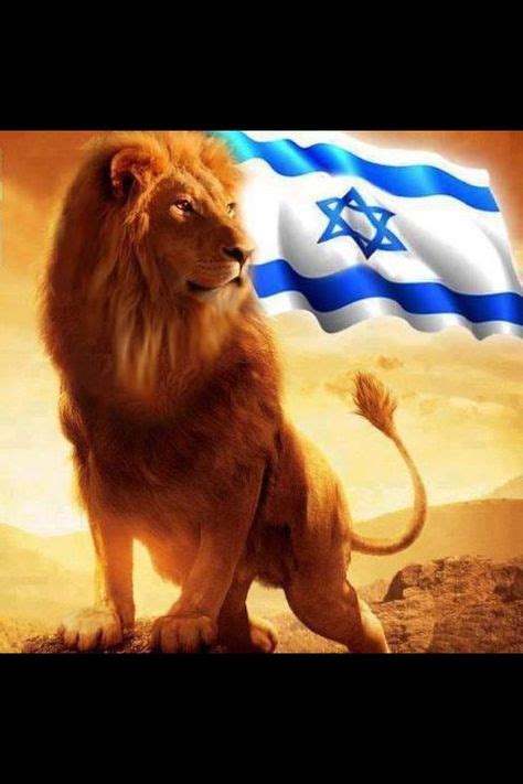 220 Best LION OF JUDAH images in 2019 | Lion of judah, Lion, Tribe of judah