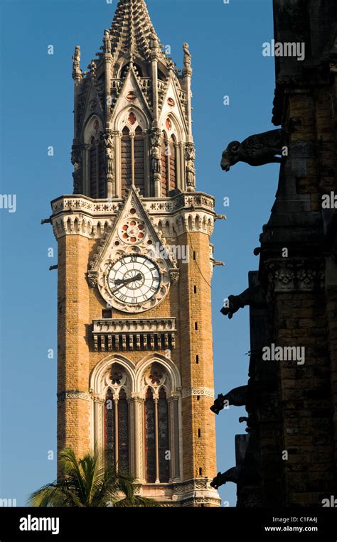 Rajabai Clock Tower, University of Mumbai, Mumbai, India Stock Photo ...