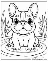 30 French Bulldog Coloring Pages Free Printable PDFs sketch template