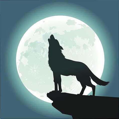 Lone wolf howling at the moon by vasjakoman – Artofit