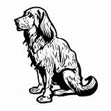 Happy Irish Setter Coloring Page For Children · Creative Fabrica sketch template