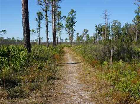 Wekiva Springs State Park, FL. Bike, Hike. E-Z Map, Photos.