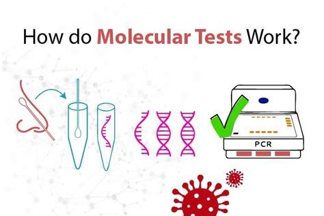 Molecular testing: its importance and uses in disease diagnostics