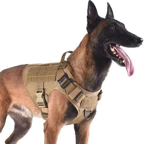 12 Best Tactical Dog Harness Reviews for your Dog [2021] - All Pet's Life