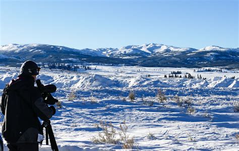 How to visit Lamar Valley on a Winter Trip to Yellowstone National Park | National parks trip ...