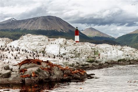 Iconic Southern Patagonia & Tierra del Fuego: Wildlife, Hikes ...