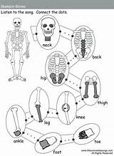 Printable Skeletal System Coloring Pages sketch template