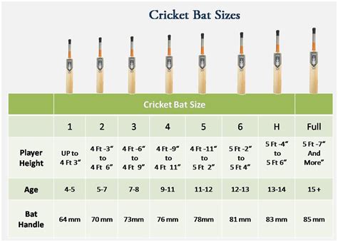 Cricket Bat Size Chart