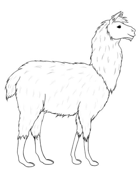 Llama Llama Coloring Page