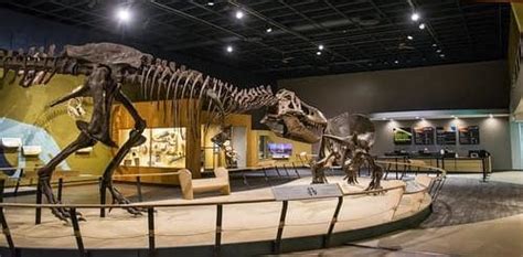 5 Things To See at the Cleveland Natural History Museum