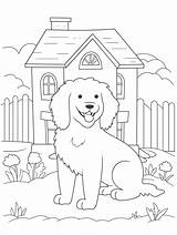 Cute Poodle Coloring Pages For Kids  Coloringforestcom sketch template